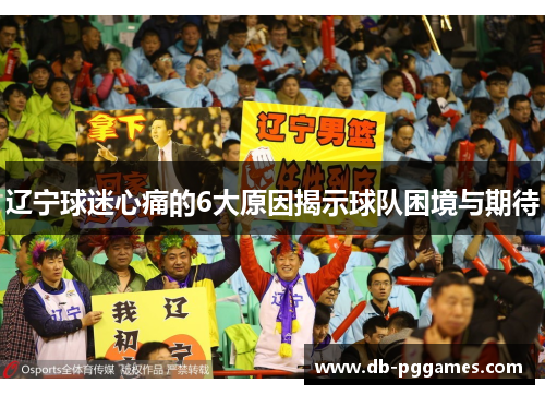 辽宁球迷心痛的6大原因揭示球队困境与期待 辽宁球迷心痛的6大原因揭示球队困境与期待